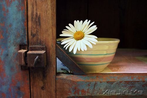 晚安心语:不争,也有属于你的世界 (7)