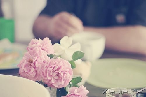 晚安心语:不争,也有属于你的世界 (10)