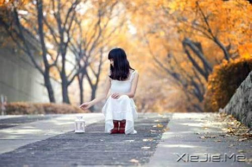 早安心语：幸福是一段旅程，而不是一个终点 (1)