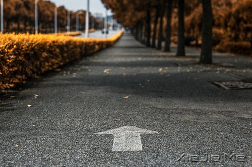 早安心语：幸福是一段旅程，而不是一个终点 (8)