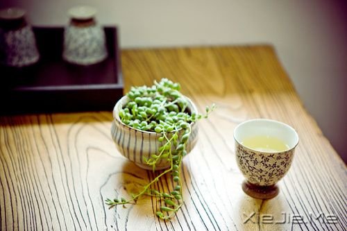 早安心语：心若没有栖息的地方，到哪里都是在流浪 (8)