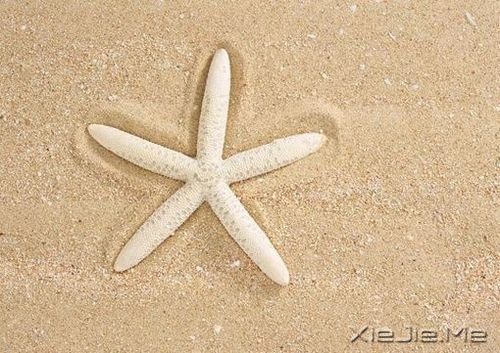 爱情心语：最美好的承诺，不是我爱你，而是我会一直爱着你 (1)