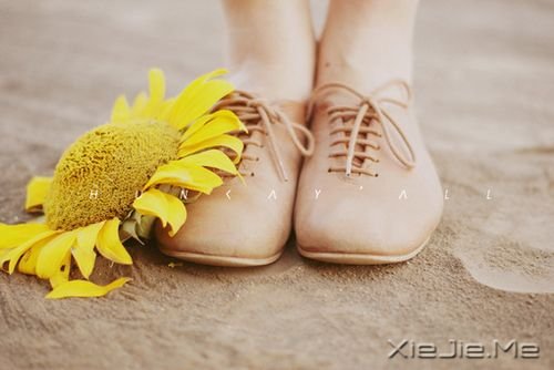 爱情心语：最美好的承诺，不是我爱你，而是我会一直爱着你 (4)