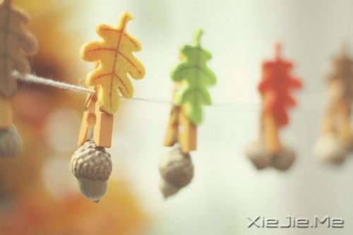 爱情心语：最美好的承诺，不是我爱你，而是我会一直爱着你 (8)
