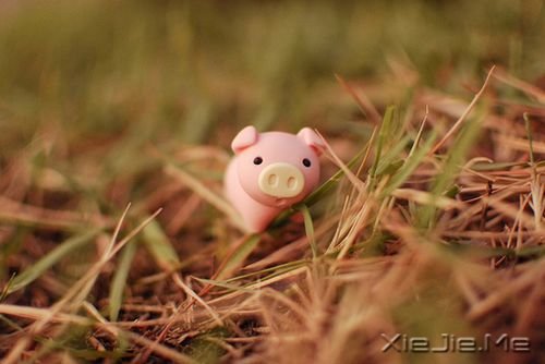 晚安心语：我们要在安静中，不慌不忙地坚强 (10)
