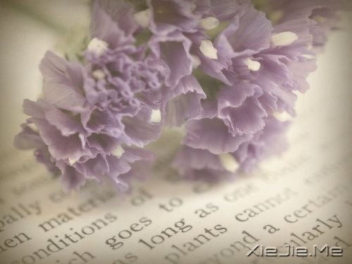 晚安心语：幸福的人在哪儿都幸福 (2)