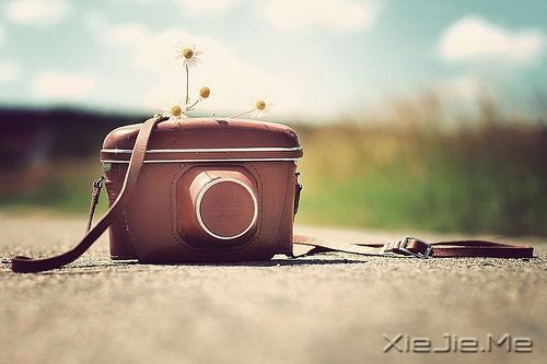 幸福，在路上