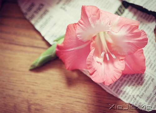 感人故事：女儿别怕，爸爸与你平静相依